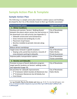 Sample Action Plan and Template
