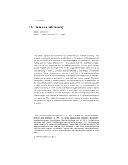 The Firm as a Subeconomy
