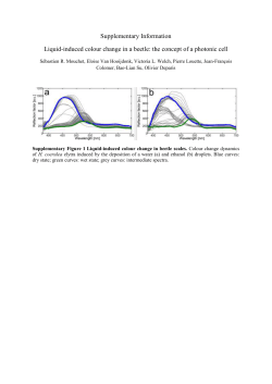 Supplementary Information Liquid