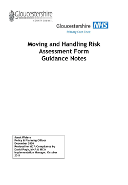 Moving and Handling Risk Assessment Form Guidance Notes (DOC