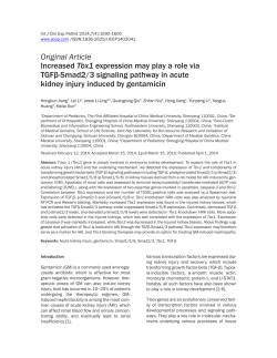 Increased Tbx1 expression may play a role via TGF&beta;