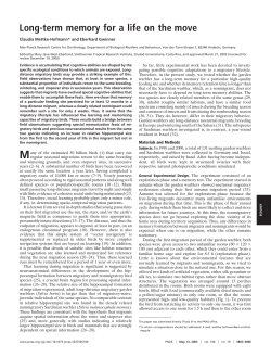 Long-term memory for a life on the move