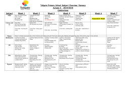 Tollgate Primary School Core Subject Overview
