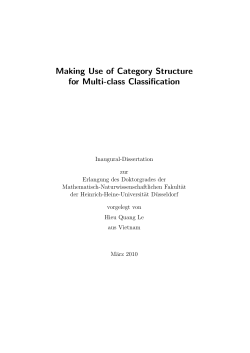 Making Use of Category Structure for Multi