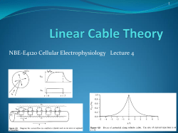 Linear Cable Theory