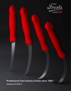 Professional Food Industry Knives since 1891