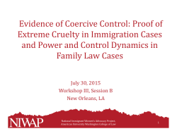 Evidence of Coercive Control: Proof of Extreme Cruelty in