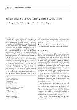 Robust image-based 3D Modeling of Root Architecture