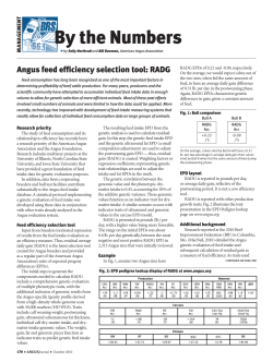 RADG - American Angus Association