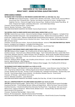 nsw horse of the year show 2013. result sheet