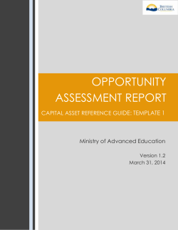 Opportunity Assessment Report