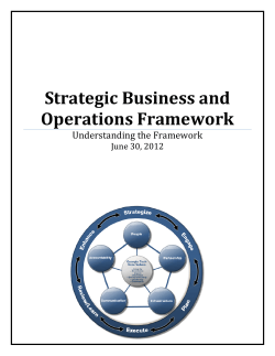 Strategic Business and Operations Framework