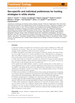specific and individual preferences for hunting strategies in white
