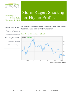 Sturm Ruger: Shooting for Higher Profits