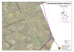 Leeuwfontein Nature Reserve