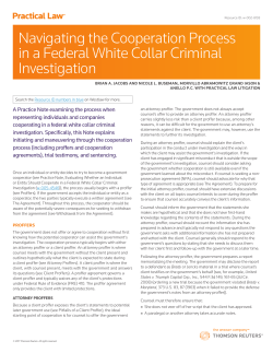 Navigating the Cooperation Process in a Federal White Collar