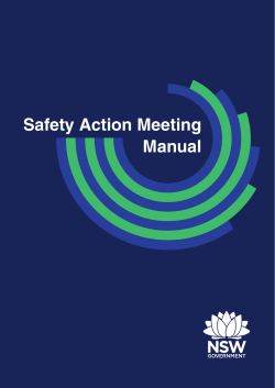 Safety Action Meeting Manual - Domestic Violence