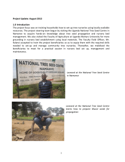 THE ECO-EARTH ENVIRONMENTAL AND PEACE INITIATIVE