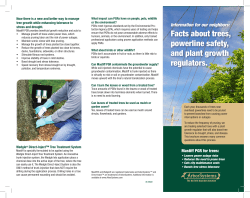 Facts about trees, powerline safety, and plant growth
