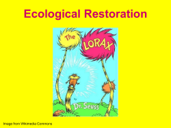 Ecological Restoration Groom et al. (2006)
