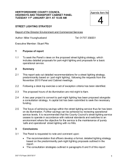 Item 4 - Street Lighting Strategy