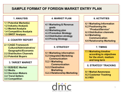 sample format Foreign Market Entry Plan