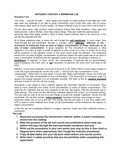 Microsoft Word - Lab15A