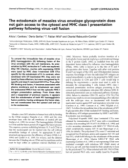 The ectodomain of measles virus envelope glycoprotein does not