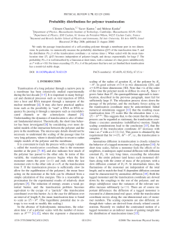 Probability distributions for polymer translocation