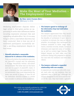 Make the Most of Your Mediation &ndash; The Employment Case
