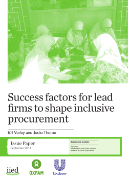 Success factors for lead firms to shape inclusive