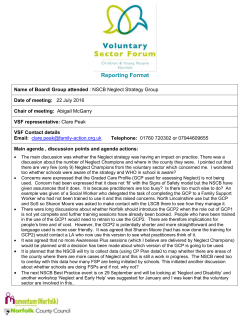 NSCB Neglect Strategy Group Report 22.07.16