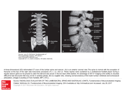 Slide () - FA Davis PT Collection