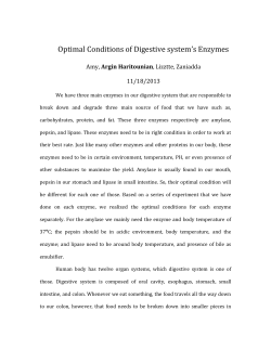 Optimal Conditions for Digestive System`s Enzymes