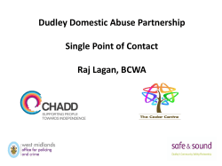Domestic Abuse, Child Protection and Forced Marriage