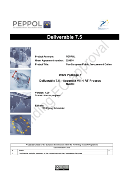 DEL7.5_APPENDIX_VIII.4_RT-Process_Model