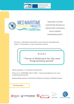 D.2.3.1 &ldquo;Terms of Reference for the next Programming period&rdquo;