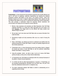 Footprintings - Erickson Congress