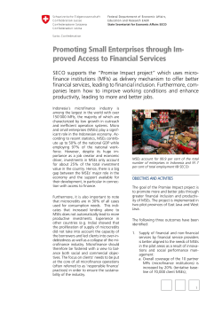 Promoting Small Enterprises through Im