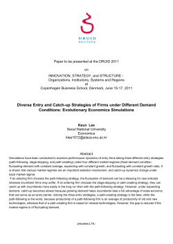 Diverse Entry and Catch-up Strategies of Firms under