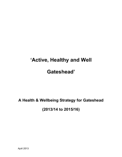 Purpose of this strategy