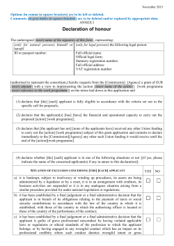 Annex 1 - Declaration on Honour