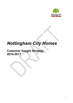 Customer Insight Strategy Mar14