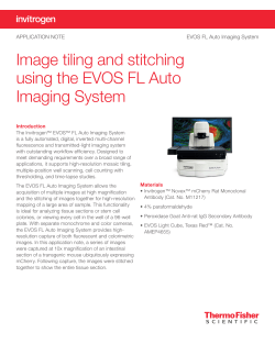 Image Tiling and Stitching Using the EVOS™ FL Auto Cell Imaging