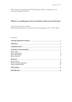 Effects on small-game hunt of reindeer short-term behaviour