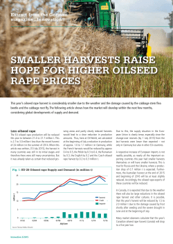 SMALLER HARVESTS RAISE HOPE FOR HIGHER OILSEED RAPE