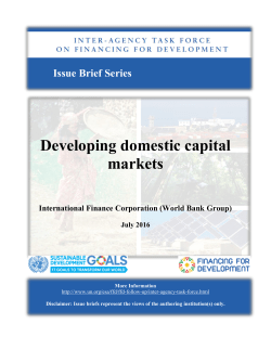 Developing domestic capital markets