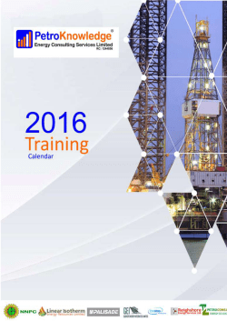 Now - PetroKnowledge Energy Consulting Services
