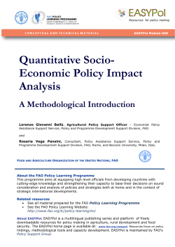 Quantitative Socio- Economic Policy Impact Analysis