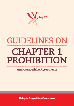 Guidelines on Chapter 1 Prohibition